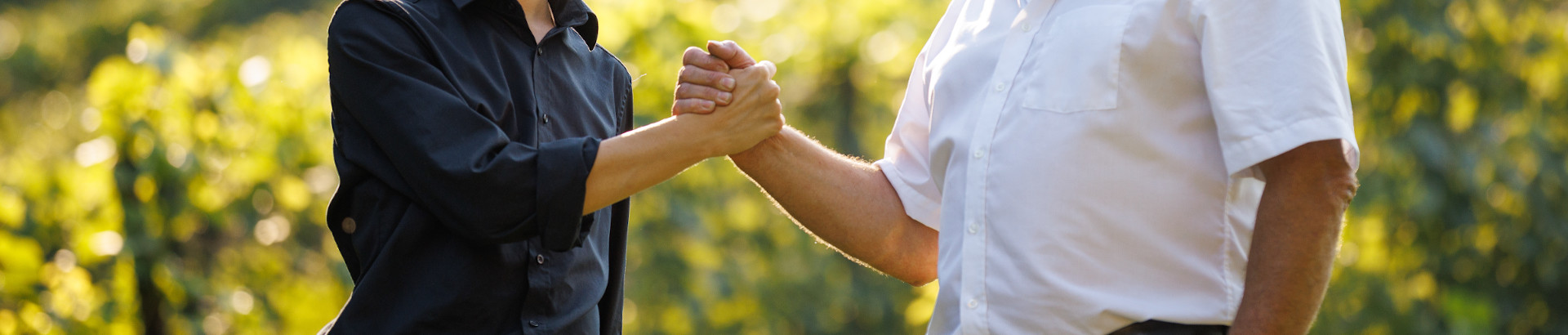 Handschlag von zwei Personen im Weingarten