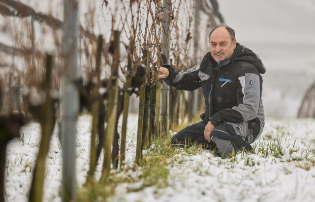 Fritz Huber im winterlichen Weingarten