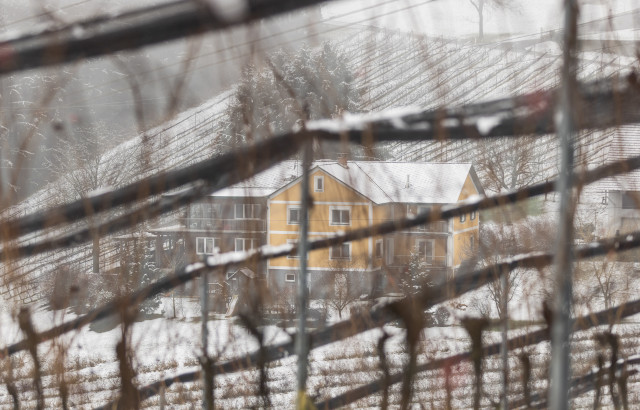 Sicht auf den Buschenschank Huber aus dem winterlichen Weingarten